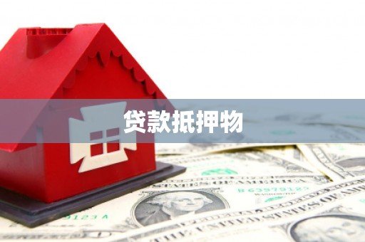 玉树贷款抵押物