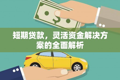 玉树短期贷款，灵活资金解决方案的全面解析