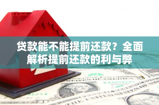 玉树贷款能不能提前还款？全面解析提前还款的利与弊