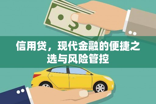 玉树信用贷，现代金融的便捷之选与风险管控