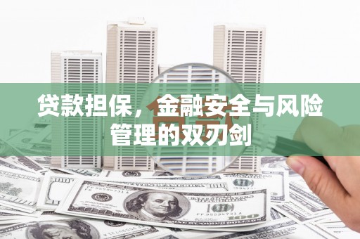 玉树贷款担保，金融安全与风险管理的双刃剑