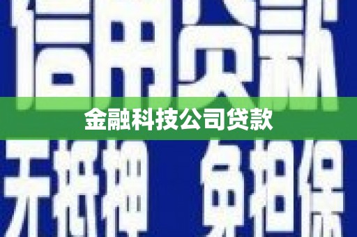 玉树金融科技公司贷款