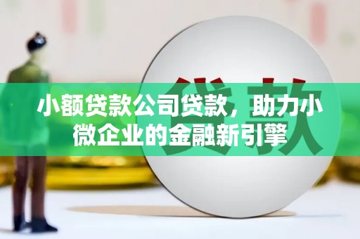 玉树小额贷款公司贷款，助力小微企业的金融新引擎