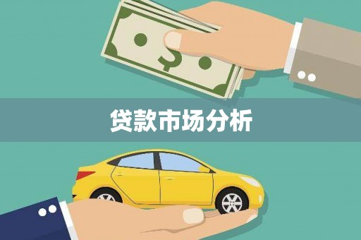 玉树贷款市场分析