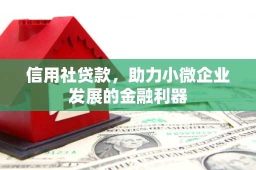 玉树信用社贷款，助力小微企业发展的金融利器