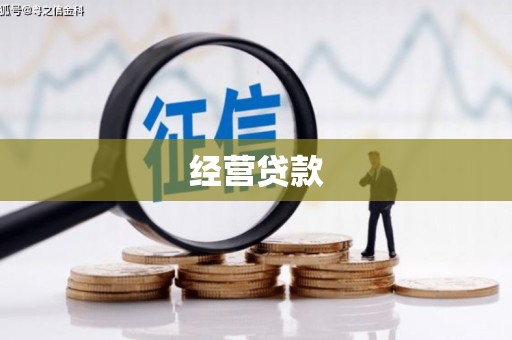 玉树经营贷款