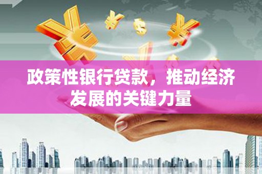 玉树政策性银行贷款，推动经济发展的关键力量