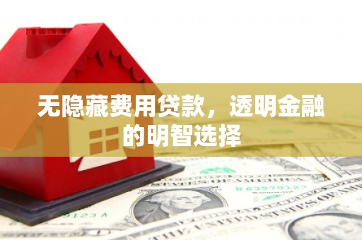 玉树无隐藏费用贷款，透明金融的明智选择