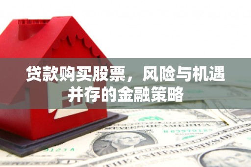 玉树贷款购买股票，风险与机遇并存的金融策略