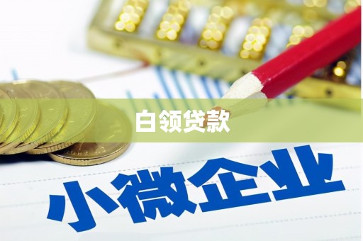 玉树白领贷款