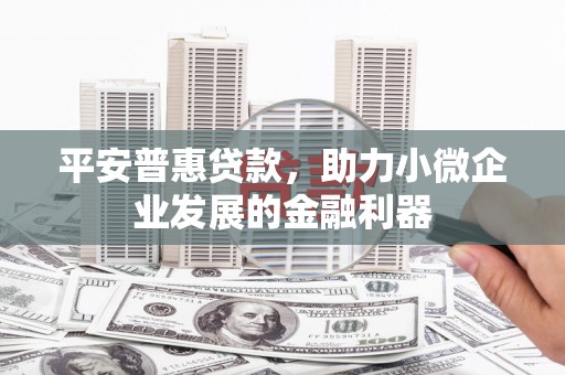 玉树平安普惠贷款，助力小微企业发展的金融利器