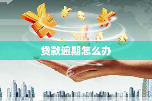 玉树贷款逾期怎么办