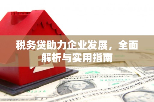 玉树税务贷助力企业发展，全面解析与实用指南