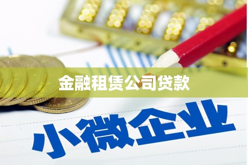 玉树金融租赁公司贷款