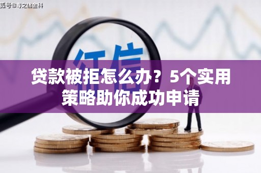 玉树贷款被拒怎么办？5个实用策略助你成功申请