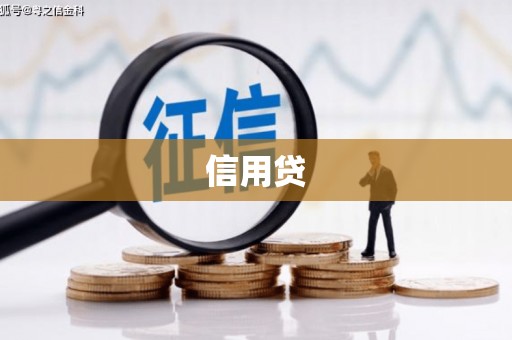 玉树信用贷