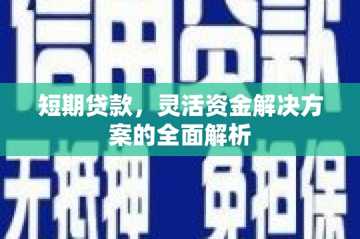 玉树短期贷款，灵活资金解决方案的全面解析