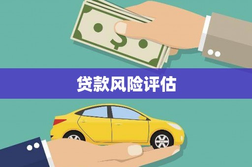 玉树贷款风险评估