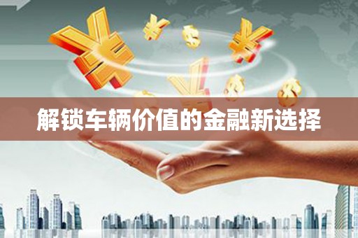 玉树解锁车辆价值的金融新选择