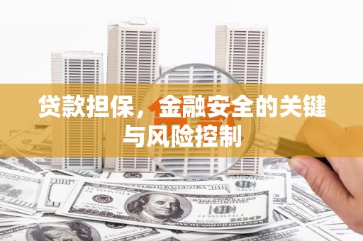 玉树贷款担保，金融安全的关键与风险控制