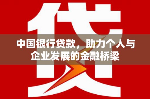 玉树中国银行贷款，助力个人与企业发展的金融桥梁