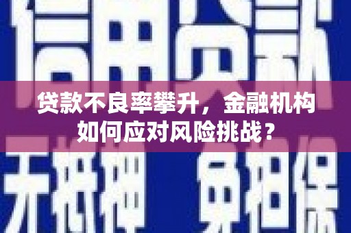 玉树贷款不良率攀升，金融机构如何应对风险挑战？