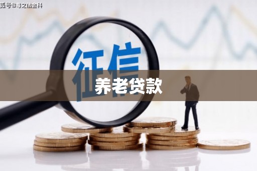 玉树养老贷款