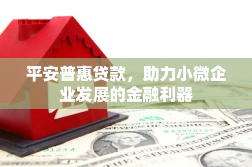 玉树平安普惠贷款，助力小微企业发展的金融利器