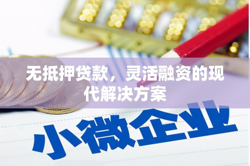 玉树无抵押贷款，灵活融资的现代解决方案
