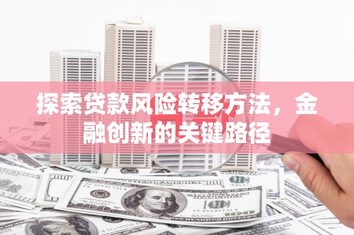 玉树探索贷款风险转移方法，金融创新的关键路径