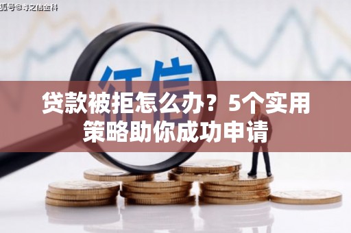 玉树贷款被拒怎么办？5个实用策略助你成功申请