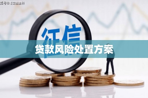 玉树贷款风险处置方案
