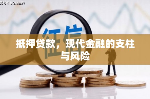 玉树抵押贷款，现代金融的支柱与风险