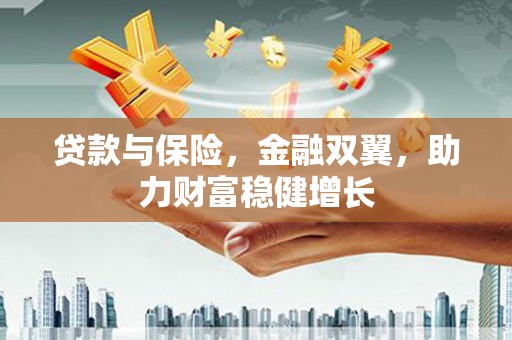 玉树贷款与保险，金融双翼，助力财富稳健增长