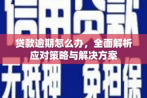玉树贷款逾期怎么办，全面解析应对策略与解决方案