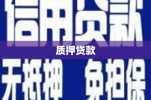 玉树质押贷款