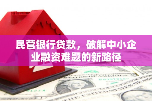 玉树民营银行贷款，破解中小企业融资难题的新路径