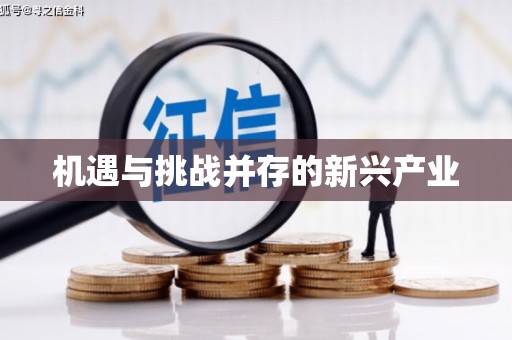玉树机遇与挑战并存的新兴产业