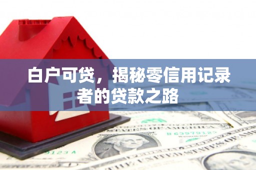 玉树白户可贷，揭秘零信用记录者的贷款之路