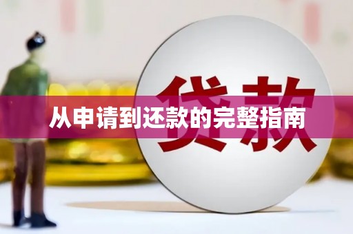 玉树从申请到还款的完整指南