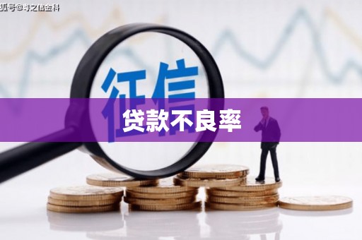 玉树贷款不良率