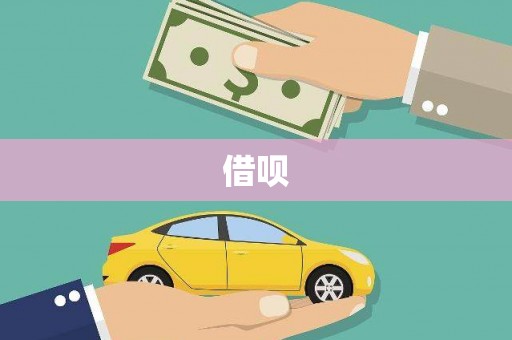 玉树借呗