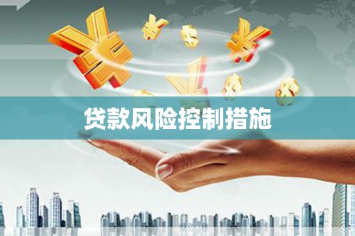 玉树贷款风险控制措施