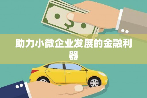 玉树助力小微企业发展的金融利器