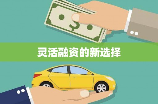 玉树灵活融资的新选择