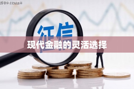 玉树现代金融的灵活选择