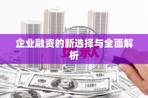 玉树企业融资的新选择与全面解析