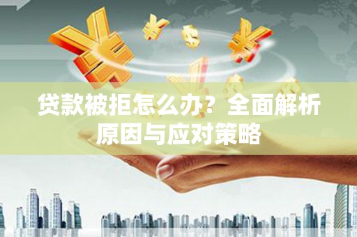 玉树贷款被拒怎么办？全面解析原因与应对策略