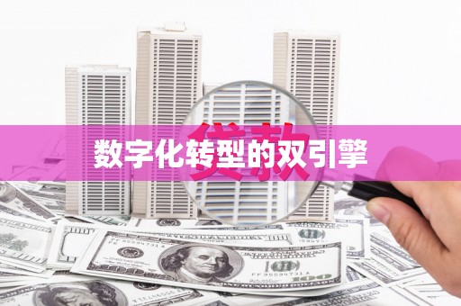 玉树数字化转型的双引擎