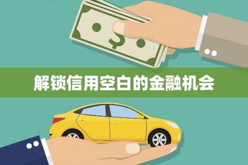 玉树解锁信用空白的金融机会